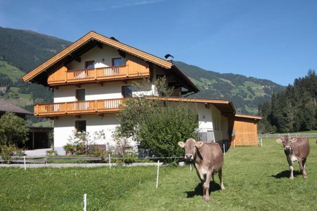 Gaestehaus Hauser Hainzenberg Esterno foto